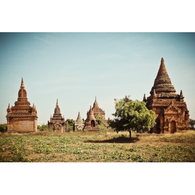 BIRMANIE - Temples de Bagan...