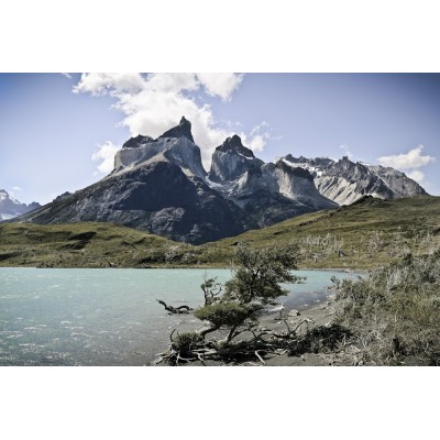 CHILI - Torres del Paine - 73