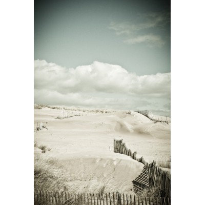 TALMONT ST HILAIRE - Dune...